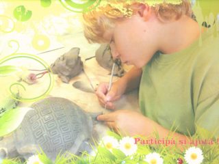 ,,Meșteșugașul”