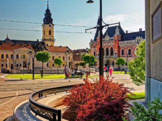 Top 10 fotografii ale lunii august