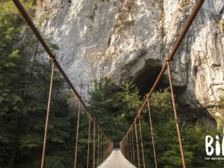Excursie de 1 zi: Descoperă Pădurea Craiului