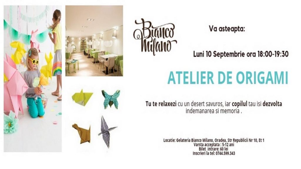 Atelier de Origami Oradea