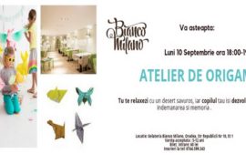 Atelier de Origami Oradea