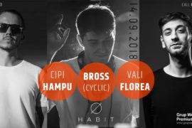 Scene W/ Cipi Hampu Bross Vali Florea