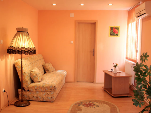 Pensiunea Andronic Timișoara photo 3