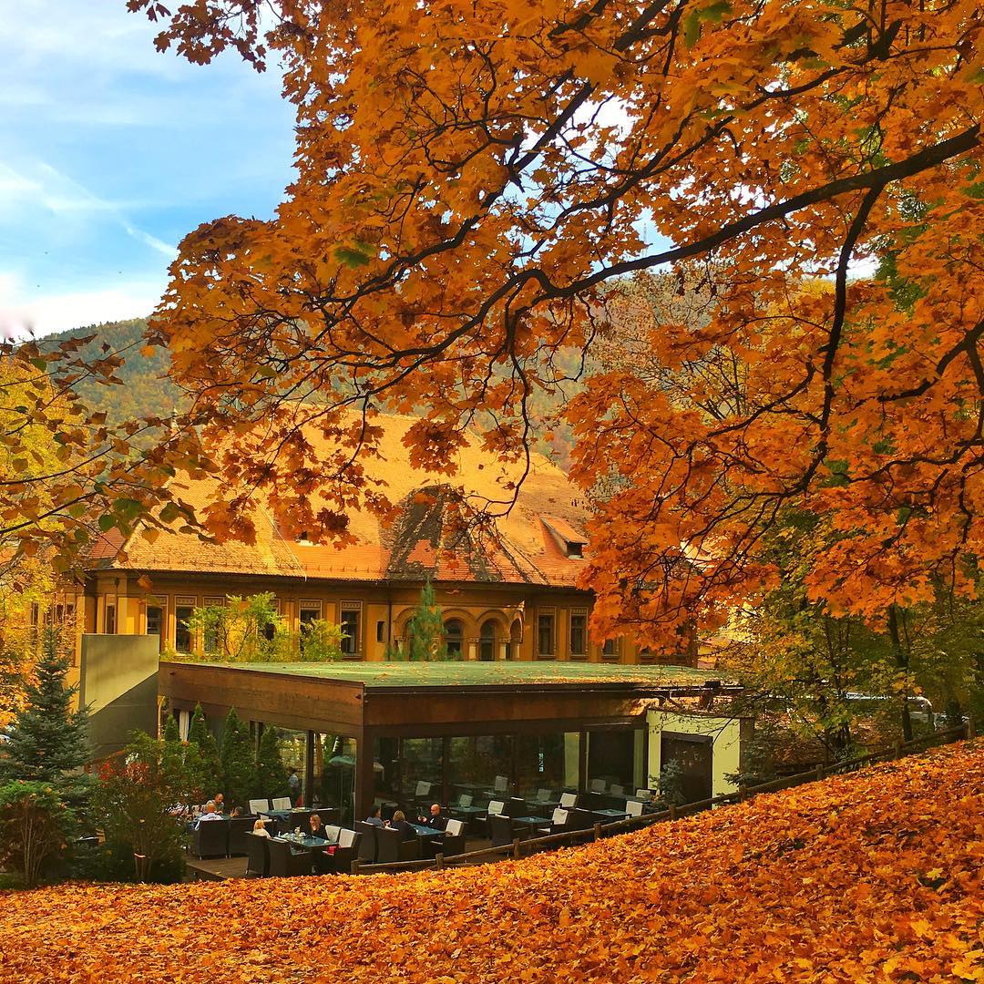 Ce poți face în Brașov în săptămâna 23- 29 octombrie?