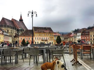 Ce (mai) poți face în Brașov în săptămâna 9 - 15 octombrie?