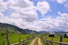 Evenimente Județul Brașov