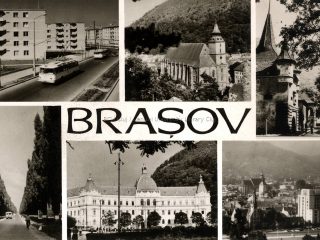 alte 35 de fotografii