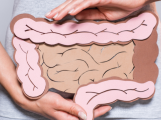 Cum îți poate influența intestinul procesul de slăbire?