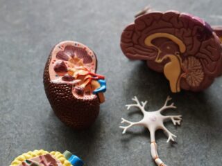 Arnold Chiari pe înțelesul pacienților: ce înseamnă diagnosticul și când necesită monitorizare